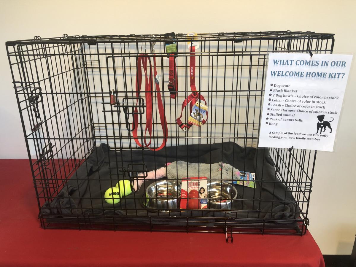 crate toys for dogs