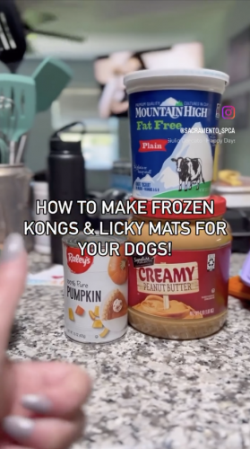 Facebook link to learn how to make kong treats for your dogs