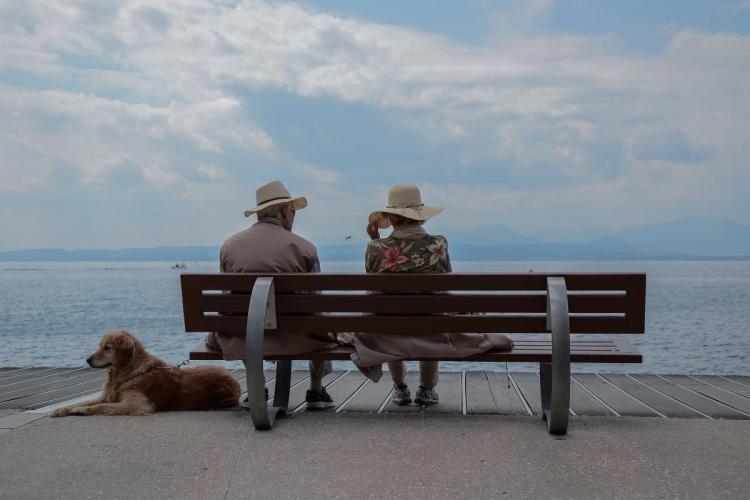 Senior Couple sitting on bench with dog